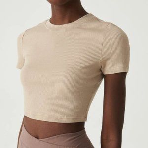 SHEIN Premium Khaki Ribbed Knit Crop Top Small(4)